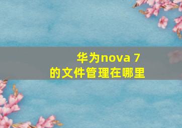 华为nova 7的文件管理在哪里